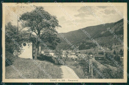 Trento Ziano Val Di Fiemme Cartolina QZ9752 - Trento