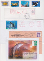 Lot 9 Documents Thème DAUPHIN ORQUE PHOQUE OTARIE Animaux Aquatique - Crustacés