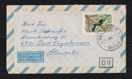 Brazil Brasil 1978 Airmail Cover DH DALBERGIA X Germany 1x 9,5Cr Bird Stamp - Covers & Documents