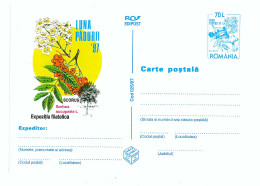 IP 97 - 25 Month Forrest, Romania - Stationery - Unused - 1997 - Nature