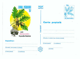 IP 97 - 26 Month Forrest, Romania - Stationery - Unused - 1997 - Nature