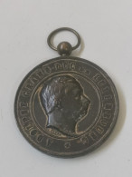 Luxembourg Médaille, Cercle Grand Ducal D'agriculture Et Horticulture De Luxembourg 1900 - Other & Unclassified