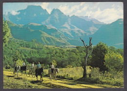 127325/ Drakensberg, Horse-riding In The Champagne Castle And Cathkin Peak Area - South Africa