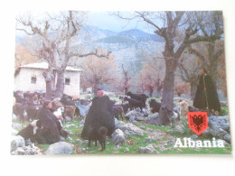 D199693  CPM  Albanie - ALBANIA  -Shepherds  -Dermi Vlore    -  Postcard - Albanie