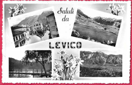 SALUTI DA LEVICO - FORMATO PICCOLO - ED. FONDRIEST TRENTO - VIAGGIATA DA LEVICO - ANNULLO CONALBI *15.7.1957* - Saluti Da.../ Gruss Aus...