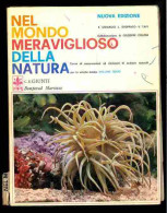 Nel Mondo Meraviglioso Della Natura Vol.3 - Other & Unclassified