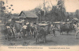 ¤¤   -   LAOS   -  Caravane De Ravitaillement Par Boeufs-porteurs       -   ¤¤ - Laos