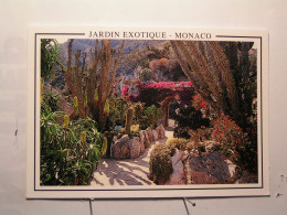 Monaco - Le Jardin Exotique - Jardín Exótico