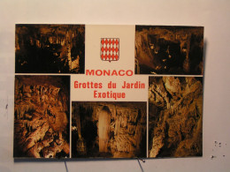 Monaco - Les Grottes Du Jardin Exotique - Vues Diverses - Blason - Exotic Garden