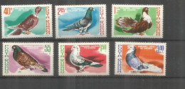RUMANIA PALOMA PIDGEON AVE PAJARO BIRD 1961 - Pigeons & Columbiformes