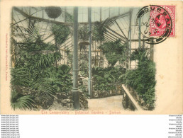 (D) South Africa  DURBAN 1907. The Conservatory Botanical Gardens - South Africa
