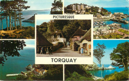 England Torquay Multi View - Torquay