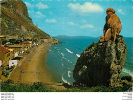 (KD) Photo Cpsm Grand Format GIBRALTAR Catalan Bay 1969 - Gibraltar