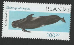 2001 Pilot Whale  Michel IS 992 Stamp Number IS 948 Yvert Et Tellier IS 920 Stanley Gibbons IS 1003 Xx MNH - Unused Stamps