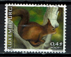 Luxembourg 2001 - YT 1504 - Faune, Fauna - Ecureuil, Eichhörnchen, Squirrel, Eekhoorn - Used Stamps