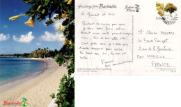 BARBADOS 2005  POSTCARD SENT TO MARSEILLE - Barbados (1966-...)