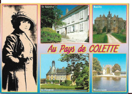 CPSM DE SAINT SAUVEUR EN PUISAYE - RATILLY - ST FARGEAU - BOUTISSAINT - Saint Sauveur En Puisaye