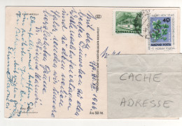 Timbres , Stamps " Tramway , Fleurs : Trèfle à 4 Feuilles " Sur CP , Carte , Postcard Du 21/12/66 - Briefe U. Dokumente