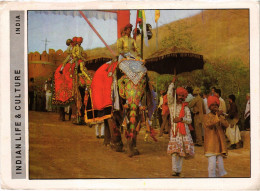 CPM Rajasthan Elephant Procession Festival INDIA (1182344) - Inde
