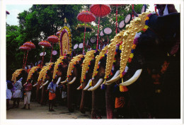 CPM Kerala Thrissur Pooram Festival INDIA (1182367) - Inde