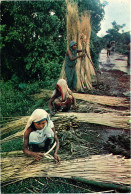 CPM Thrashing Jute Fibres BANGLADESH (1182453) - Bangladesh