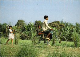 CPM Rural Scene BANGLADESH (1183025) - Bangladesch