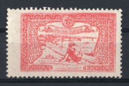 1923 TURKEY STAMP IN AID OF THE TURKISH SOCIETY FOR THE PROTECTION OF CHILDREN MINT WITHOUT GUM - Francobolli Di Beneficenza