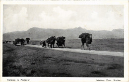 PC PAKISTAN CARAVAN TO PESHAWAR (a50183) - Pakistan