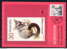 X0584)Schweden Maxi-Card  1246 Polarfuchs - Tarjetas – Máxima