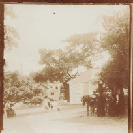 Noirmoutier * RARE Photo Albuminée Circa 1895/1900 * Bois De La Chaise Potinière Curés Attelages ânes * 8x8.2cm - Noirmoutier