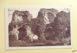 86 -   GENCAY - Ruines Du Chateau - La Porte Et Les Deux Tours D'Entree - Vue Interieure - Gencay