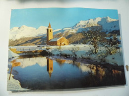 Cartolina Viaggiata "SILS BASELGIA MIT PIZ CARVASCH" 1977 - Sils Im Engadin/Segl