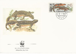 26072 ) Czechoslovakia WWF 1989 Toad Newt   Cover - Cartas & Documentos