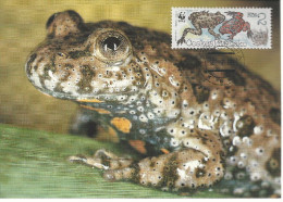 26073 ) Czechoslovakia WWF 1989 Toad Newt  Maxi Postcard Cover - Cartas & Documentos