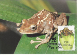 26082 ) Fiji WWF 1988 Frog Maxi Postcard Cover - Fidji (1970-...)
