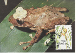 26083 ) Fiji WWF 1988 Frog Maxi Postcard Cover - Fidji (1970-...)