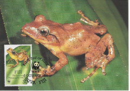 26084 ) Fiji WWF 1988 Frog Maxi Postcard Cover - Fidji (1970-...)