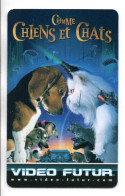 VIDÉO FUTUR   Carte Collector France Comme Chiens Et Chat Card (J 995) - Collectors