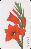 GERMANY PD3/98 Blume - Die Gladiole - DD: 3803 - P & PD-Series : D. Telekom Till