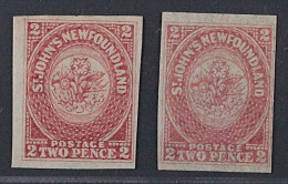 Neufundland 11 X + Y * 1861, 2 P. Blumen, Beide FARBEN, Originalgummi, 600 € - 1857-1861