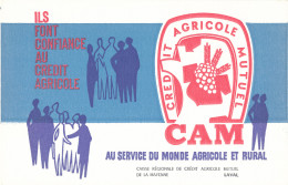 BU 2693 A /   BUVARD  - CREDIT AGRICOLE MUTUEL    ( 21,00 Cm X 13,50 Cm) - Banco & Caja De Ahorros