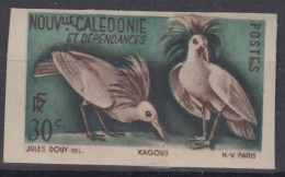 NOUVELLE CALEDONIE KAGOUS NON DENTELE N° 260 NEUF ** GOMME SANS CHARNIERE - Ungebraucht