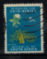 Afrique Du Sud - "Baobab" - Oblitéré N° 286/A De 1971 - Used Stamps