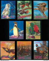 MDB-BK4-463-2 MINT ¤ BHUTAN 1969 8w In Serie  ¤ 3-D STAMPS - OISEAUX  BIRDS PAJAROS  VOGELS  VÖGEL - Marine Web-footed Birds
