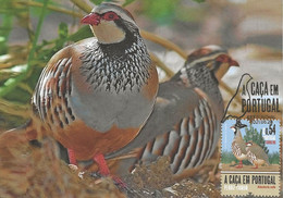 CARTE MAXIMUM- MAXICARD - CARTOLINA MAXIMA- MAXIMUM CARD - PORTUGAL (MADEIRA) - OISEAUX - PERDRIX - Alector Rufa - Grey Partridge