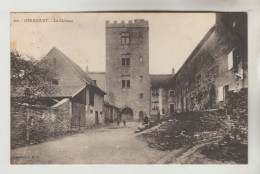 CPA PIONNIERE HERICOURT (Haute Saône) - Le Château - Héricourt