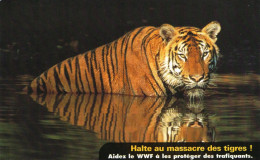 CPM GRAND FORMAT 1 - TIGRE DU BENGALE - CARTE WWF - HALTE AU MASSACRE DES TIGRES - INDE ET BENGLADESH - Tigri