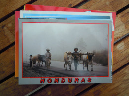 HONDURAS Cow Vache Koe  Used Circulé Gelopen - Honduras