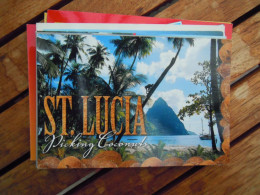 St Lucia Soufriere Coconuts    Used Circulé Gelopen - Santa Lucia