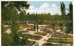 43262155 Sangerhausen Suedharz Rosarium Sangerhausen Suedharz - Sangerhausen